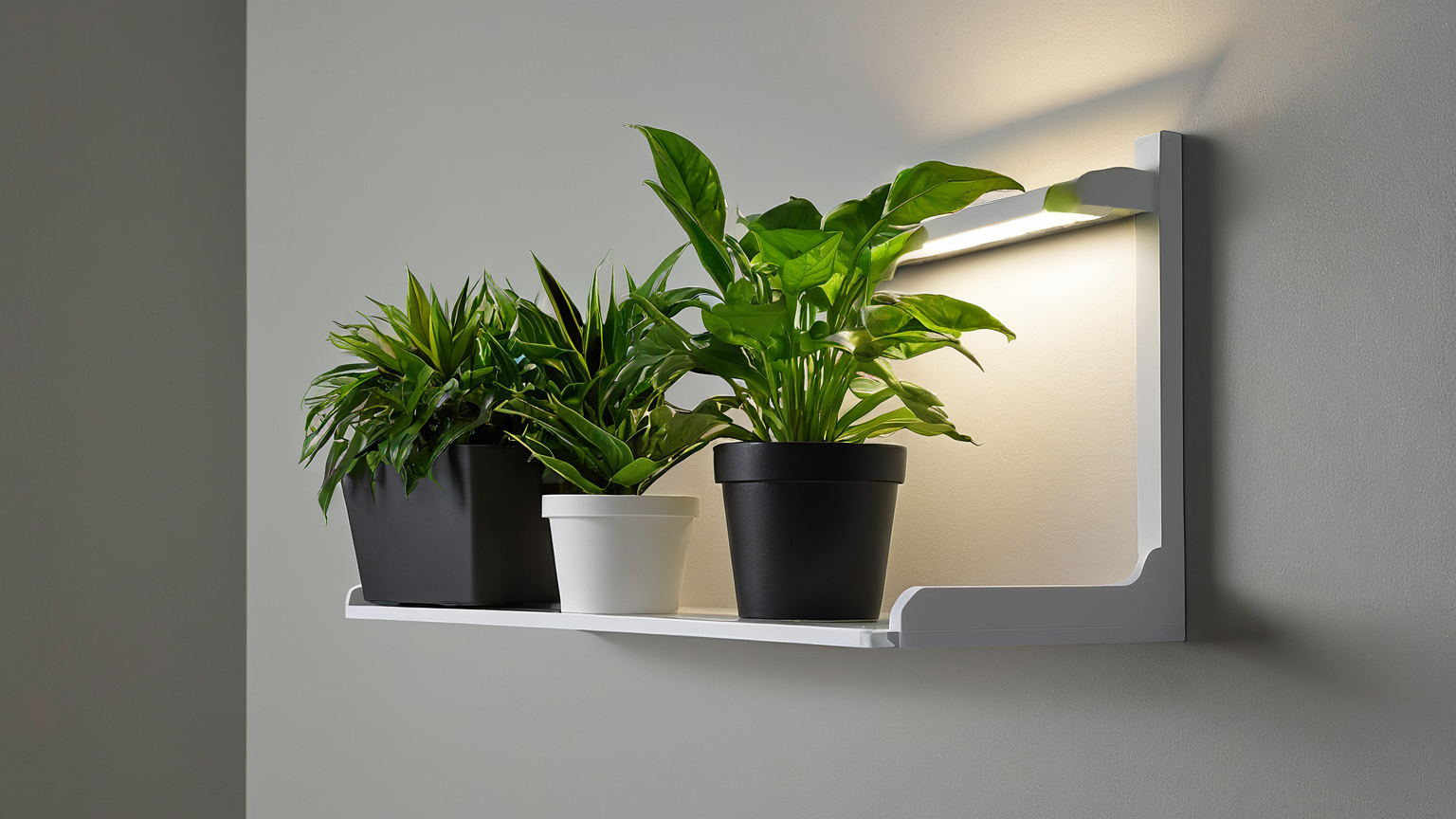 Renter entryway emergency lighting